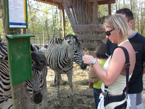 Tierpark Haag - 