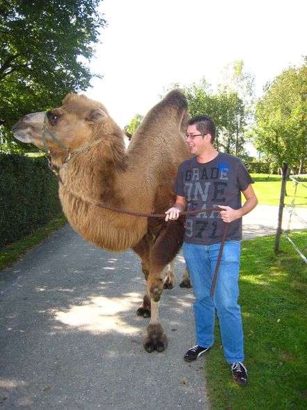 Riding a Camel 27.9.2009 - 