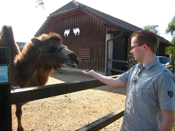 Riding a Camel 27.9.2009 - 