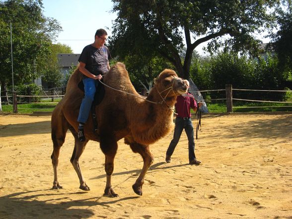 Riding a Camel 27.9.2009 - 