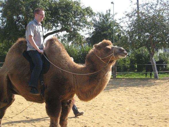 Riding a Camel 27.9.2009 - 