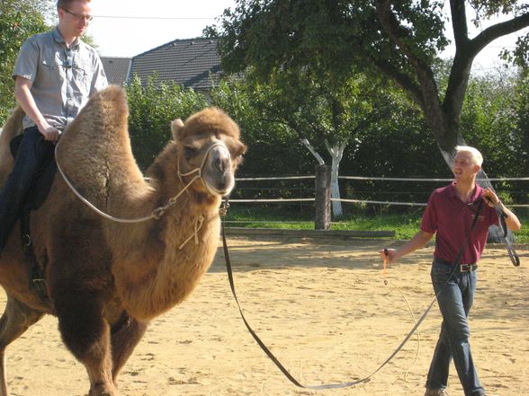 Riding a Camel 27.9.2009 - 