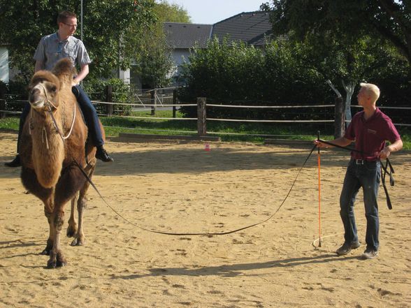 Riding a Camel 27.9.2009 - 