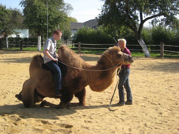 Riding a Camel 27.9.2009 - 