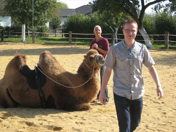 Riding a Camel 27.9.2009 - 