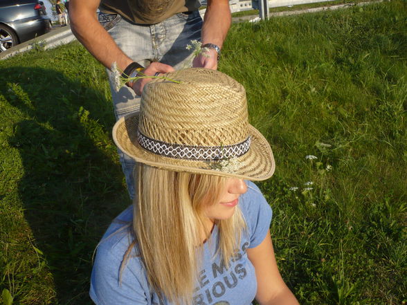 Donauinselfest 2008 5-7.9 - 