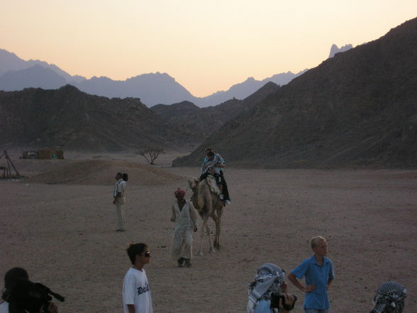 Urlaub Ägypten " 2006 " - 