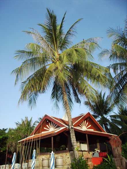 Urlaub 2007 - Thailand - 