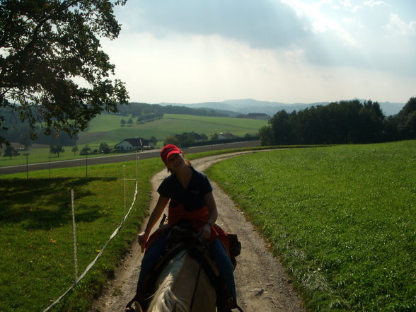 Wanderritt ARSCHGESICHT zum Gerry - 