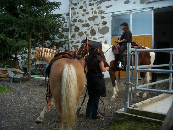 Wanderritt ARSCHGESICHT zum Gerry - 