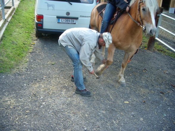 Wanderritt ARSCHGESICHT zum Gerry - 