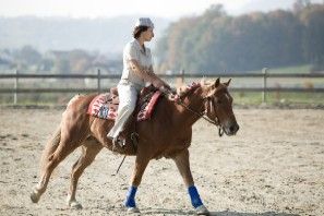 FREESTYLE-REINING - 