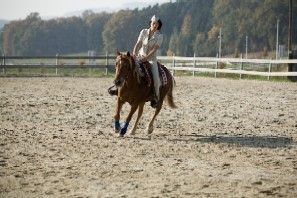 FREESTYLE-REINING - 