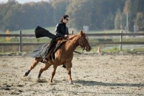 FREESTYLE-REINING - 