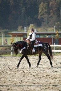 FREESTYLE-REINING - 