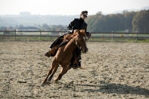 FREESTYLE-REINING - 