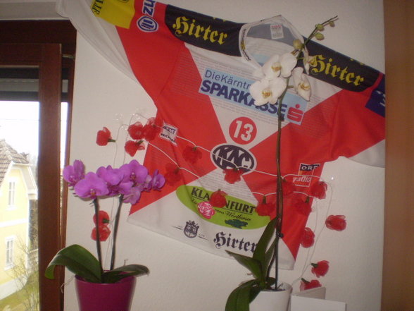 My Flat 2007 - Meine 2. Wohnung - 