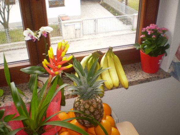 My Flat 2007 - Meine 2. Wohnung - 