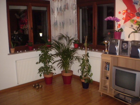 My Flat 2007 - Meine 2. Wohnung - 