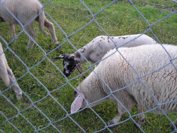 Meine kleine Stieftochter - 