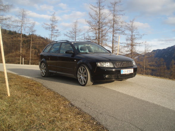 Meine quattros - 
