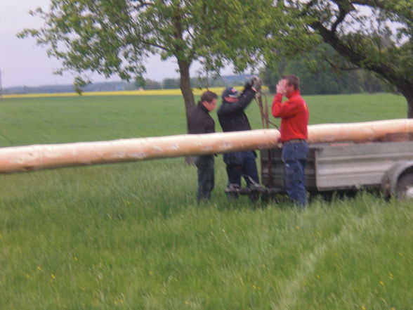 Maibaum 2009 - 