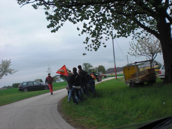 Maibaum 2009 - 