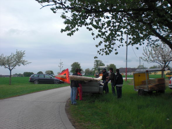 Maibaum 2009 - 