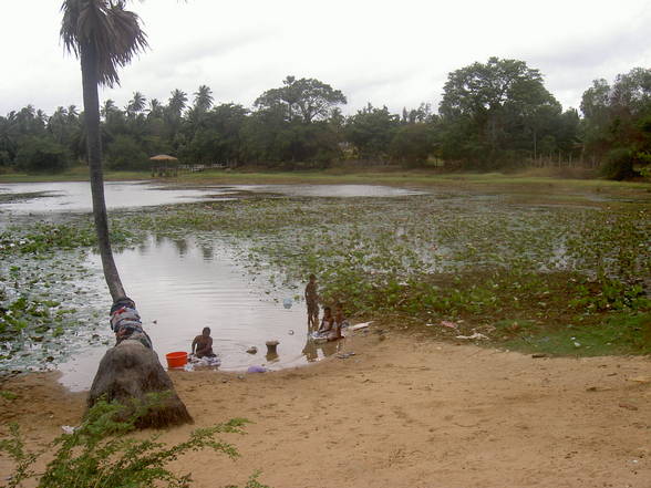 Sri Lanka 04 - 