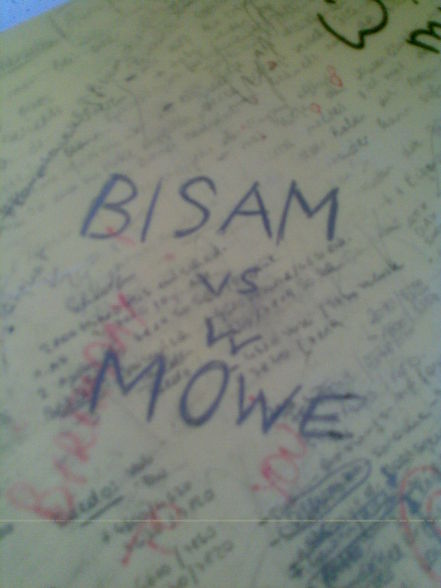 Bisam vs. Möwe @ school ^^ - 