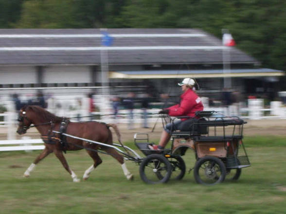 WELTMEISTERSCHAFT IN BELGIEN - 