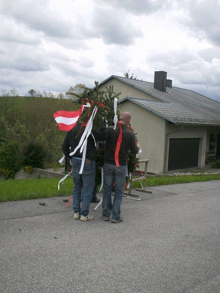 Maibaumaufstellen 2008 - 