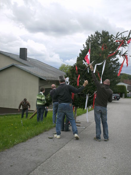 Maibaumaufstellen 2008 - 