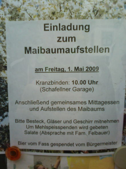 Maibaumaufstellen 2009 - 