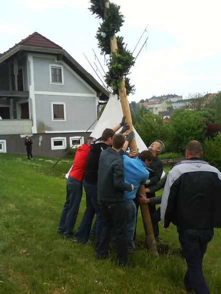 Maibaumaufstellen 2009 - 