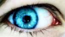 Eyes - 