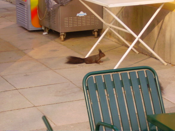 Tierpark Schönbrunn - 