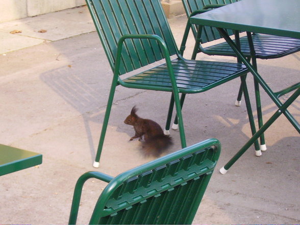 Tierpark Schönbrunn - 