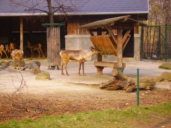 Tierpark Schönbrunn - 