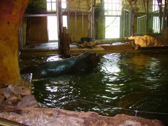 Tierpark Schönbrunn - 