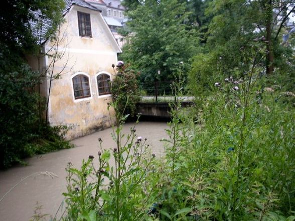 Hochwasser Steyr 2009 - 