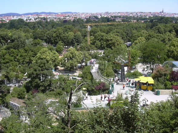 Schönbrunn 13.06.09 - 