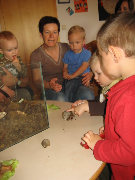 ROBIN HOOD (Kinderhaus Graz-St. Ulrich) - 