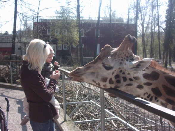 Zoo Schmiding und lena´s 2.Geburts - 