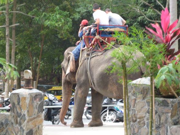 Thailand 2009 - 