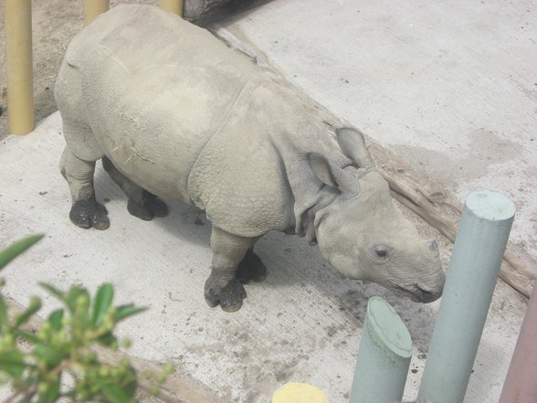 AuSfLuG ScHöNbRuNn - 