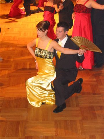 Ball der HLW Amstetten 2007 - 