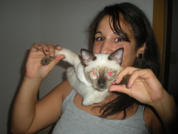 TopCat Gismo =) - 