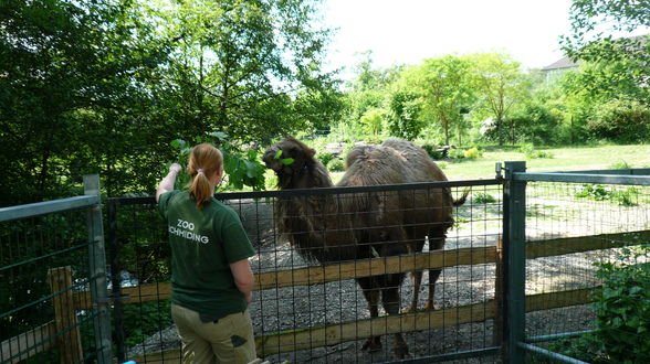 Tierpark Schmiding =) - 