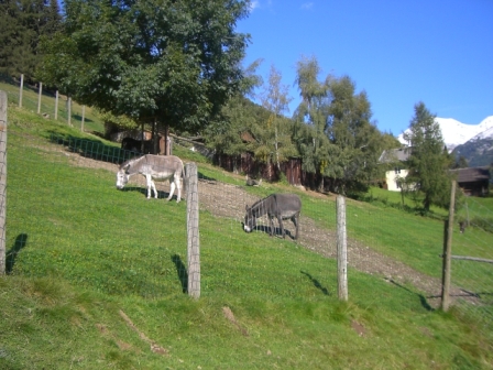 Osttirol September 2007 - 